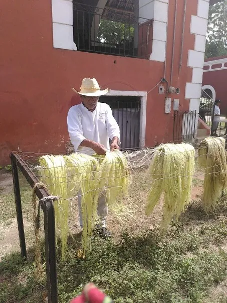 Mexican Rail Spectacular