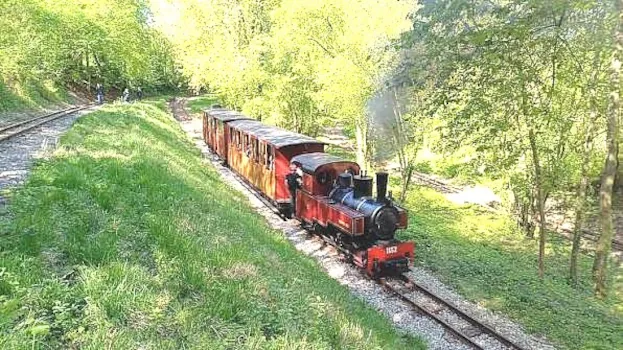 Steam Spectacular In France